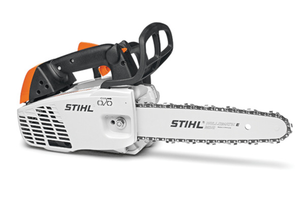 Stihl | In-Tree Saws | Model MS 194 T for sale at Wellington Implement, Ohio